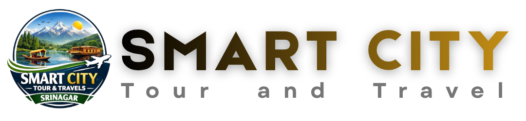 Smart City Tour and Travel